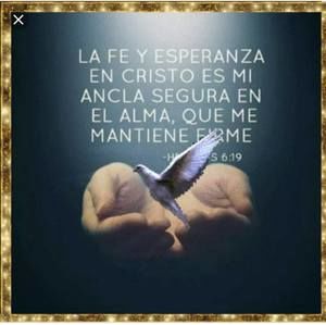 Meet your Posher, Araceli